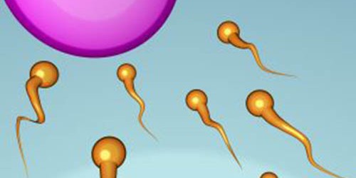 Overview of Male Fertility Treatments