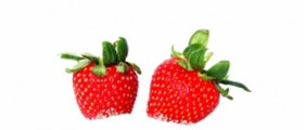 8 Reasons to Avoid Sugar