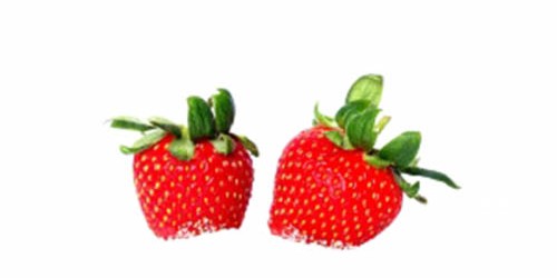 8 Reasons to Avoid Sugar