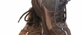 11 Reasons to Start Walking Now