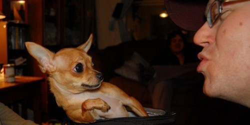 Bad Breath and Your Health:  Are They Connected?