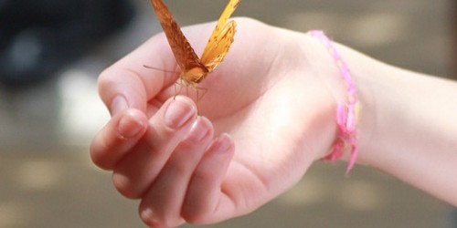 What Do My Nails Say About Me?