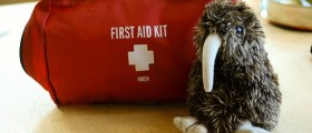 Parents & Babysitters:  First Aid Guide for Children