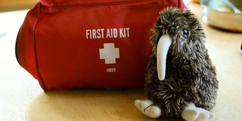 Parents & Babysitters:  First Aid Guide for Children