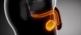 Testicular cancer: Self Examination Tips