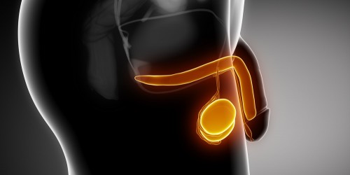 Testicular cancer: Self Examination Tips