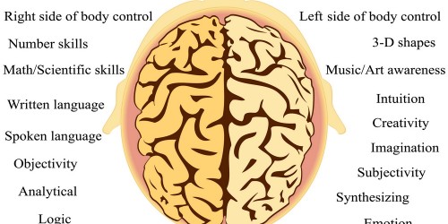 Solving Brain Puzzles : Left And Right Brain Functions