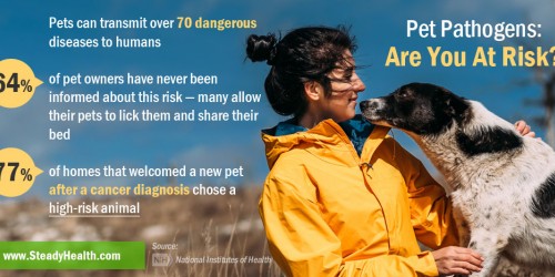 What Pet Owners Need To Know About Handwashing To Stop Germs In Their Tracks