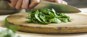 10 Risk Factors That Affect The Development Of Osteoporosis