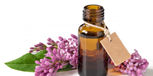 16 Things You Should Know About Pain And Osteoporosis