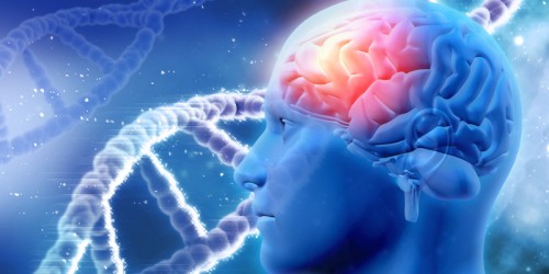 6 Less-Known Types And Rare Diseases Related To Dementia