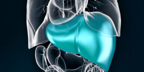 Chronic Hepatitis: Symptoms, Causes, Diagnosis, And Treatment