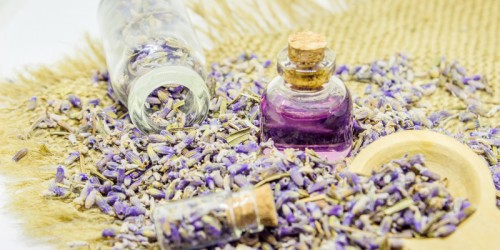 Could Lavender Help Alleviate Anxiety Symptoms?