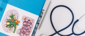 Rheumatoid Arthritis And Kidney Disease: How Does RA Affect The Kidneys?