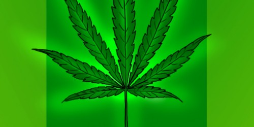 Does Marijuana Cure Prostate Cancer?