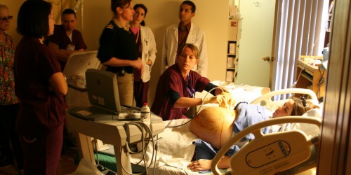 Study: Abnormal Fetal Cells Can Self-Correct In Mice, And Perhaps In Humans Too