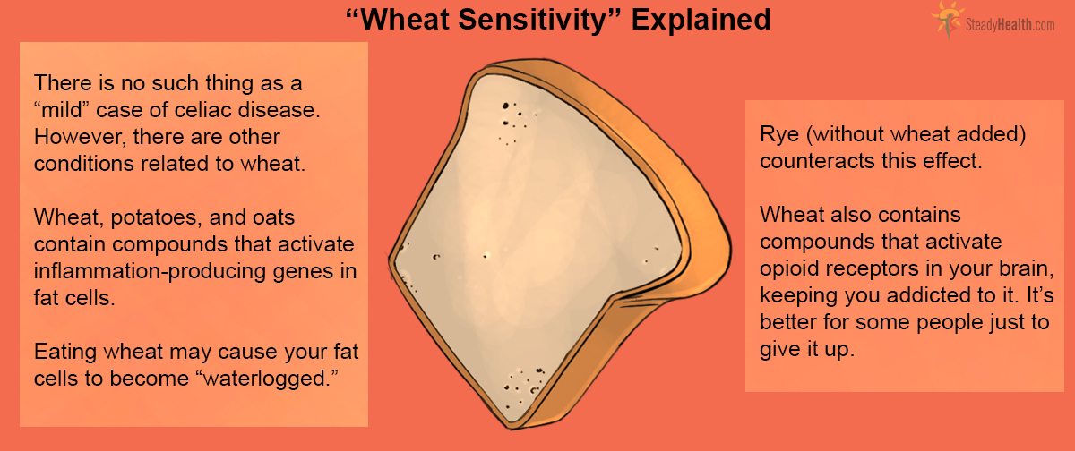 What Your "Gluten Sensivity" May Really Be Nutrition & Dieting