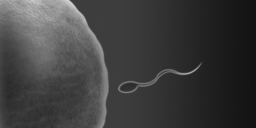 What Is Molar Pregnancy, And How Can You Recognize It?