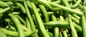 Beans, Greens, And Other Super Foods For The Brain