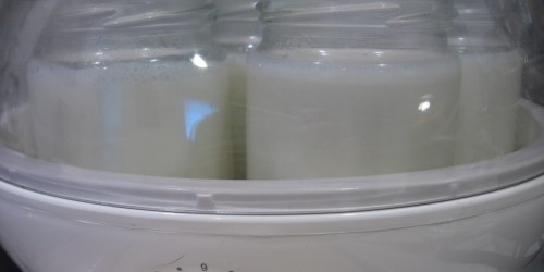 Fighting Gum Disease With Yogurt