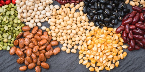 How Phytosterols Affect High Cholesterol: Are Plant Sterols And Stanols Safe?