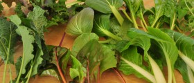 Nutrient Dense Foods: An Overlooked Approach To Weight Loss