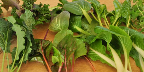 Nutrient Dense Foods: An Overlooked Approach To Weight Loss