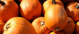 5 Fantastic November Veggies