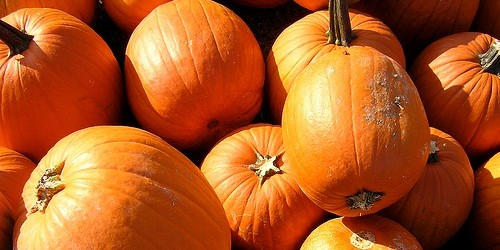 5 Fantastic November Veggies