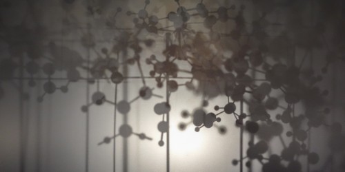 What Every Vegetarian Should Know About Vitamin B12