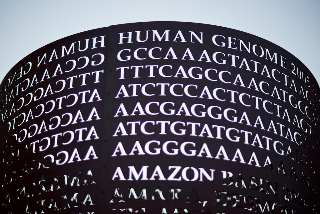 Essays what impact has the human genome project on our