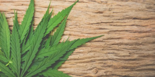 What Are The Effects Of A Marijuana (Cannabis) Addiction In Teens?