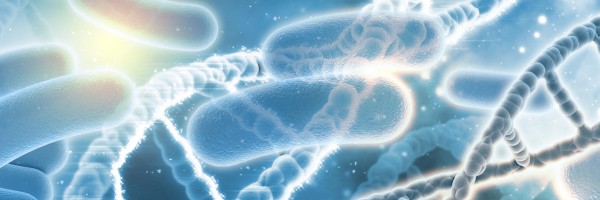 We Can't Live Without Them: The Wonder Of The Good Bacteria The Human Body Depends On