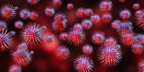 Hepatitis D Coinfection Vs Superinfection: What is The Difference?