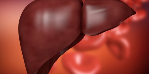 How Can High Cholesterol Impact Your Liver?