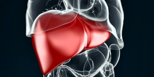 4 Things You Should Know About Liver Damage And Eating Disorders