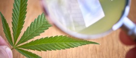 Can Your Medical Marijuana Actually Lead To A Cannabis Addiction?