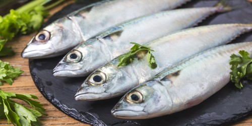 Omega-3 Fatty Acids And Coronary Heart Disease: How Your Heart Benefits From Fish Oil