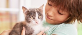 Pet Therapy And Autism: How Can Animals Help Autistic People Thrive?