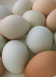 eggs.jpg
