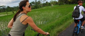 Low Bike Handles Dangerous For Women's Sex Lives