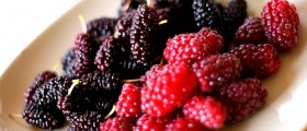 15 Healthy Snacks Under 150 Calories