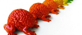 Violent Psychopaths Have A Different Brain Structure