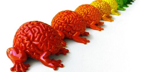 Violent Psychopaths Have A Different Brain Structure