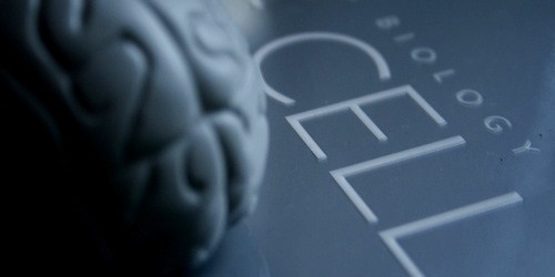 An Ayurvedic Alternative To L-dopa For Some Parkinson's Patients