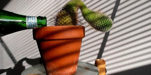 Erectile Dysfunction - Causes And Risk Factors