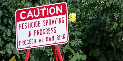 US Farmers And Food Companies Are Taking Legal Action Against Dangerous Crop Chemicals
