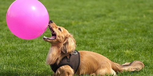 Do Affirmations Really Help?