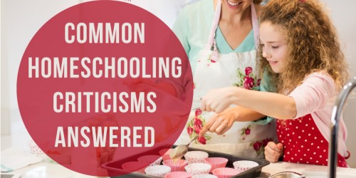 'Are You Sure You're Not F*cking Your Kids Up?': Common Homeschooling Criticisms Answered