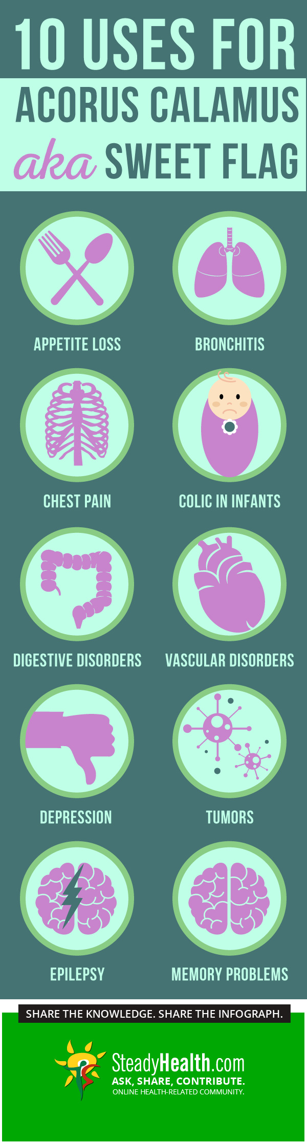 10 Uses For Acorus Calamus (Sweet Flag) CureAll Wonder Drug Or Grave Danger? Alternative